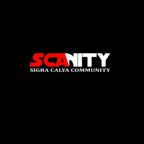 Logo Scanity